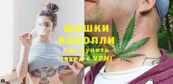 PSILOCYBIN Богородицк