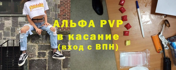 PSILOCYBIN Богородицк