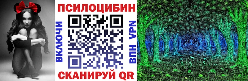 цена   Мамоново  Псилоцибиновые грибы Magic Shrooms 